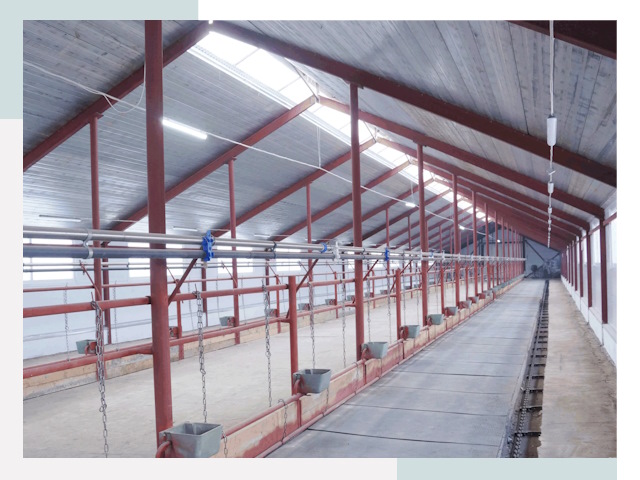 Строительство коровников в Междуреченске от 606 руб.