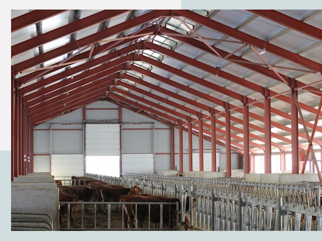 Строительство коровников в Междуреченске