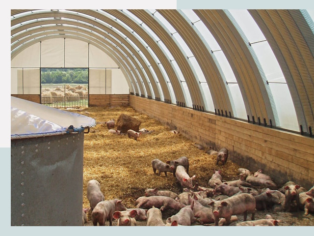 Строительство свинарников в Междуреченске