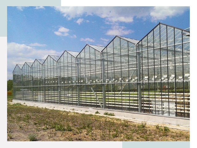 Строительство теплиц в Междуреченск от 606 руб. за м²
