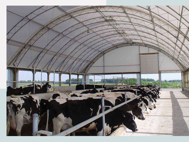 Тентовые коровники в Междуреченске